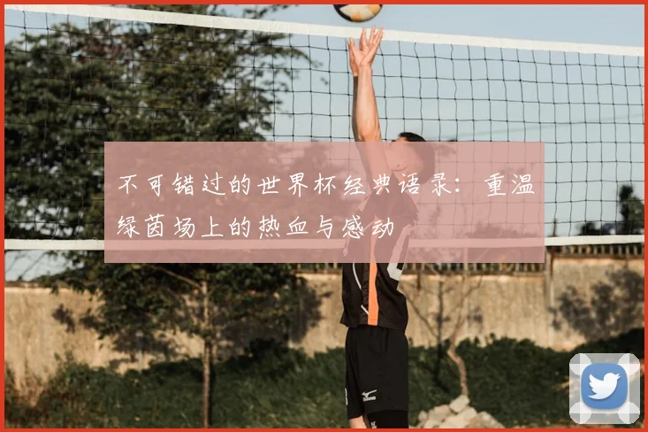 不可错过的世界杯经典语录:重温绿茵场上的热血与感动