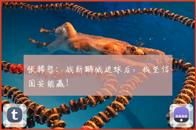 张稀哲:战新鹏城进球后,我坚信国安能赢!
