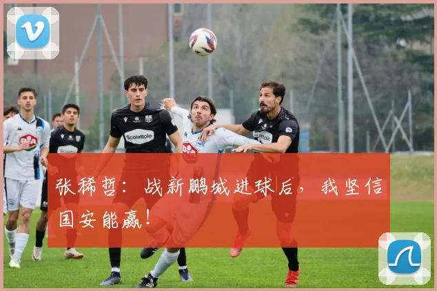 张稀哲：战新鹏城进球后，我坚信国安能赢！